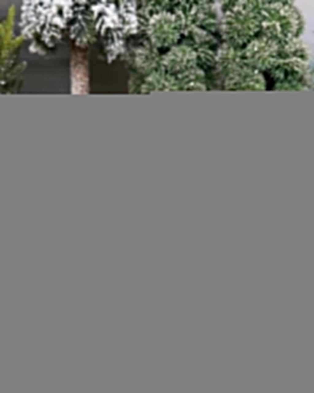 Gloco de Neve Paisagem 20CM